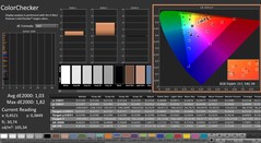 CalMAN: ColorChecker (kalibrált)